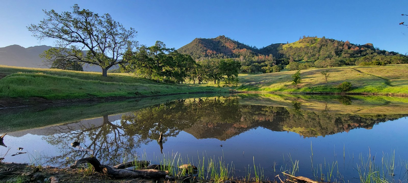 Top Sights to Visit and See in the City of Concord, California – Telephone Answering Service Near Me