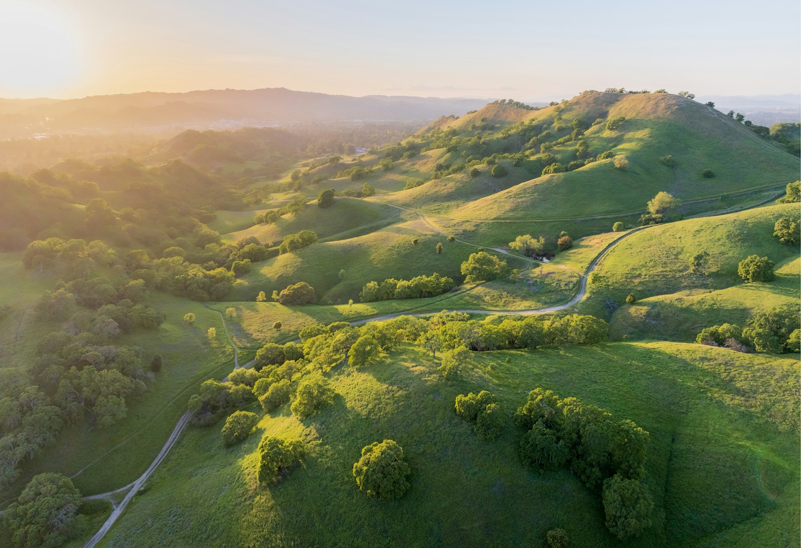 The Definitive Visitor’s Guide To The City Of Piedmont, California – Live Receptionist Service Near Me